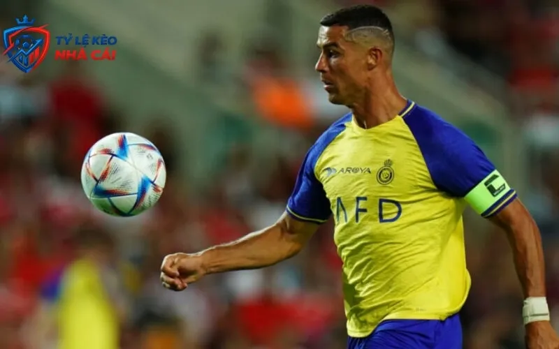 Giới Thiệu Tylekeonhacai7